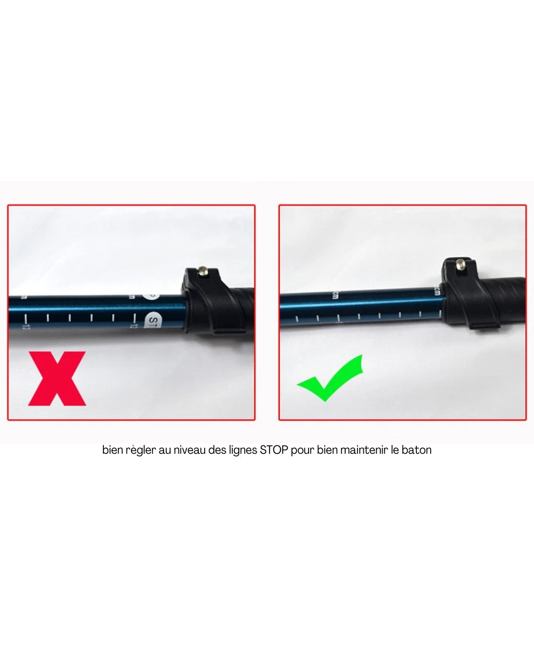 Bâton de Randonnée Pliable 5 Sections – Léger et Compact