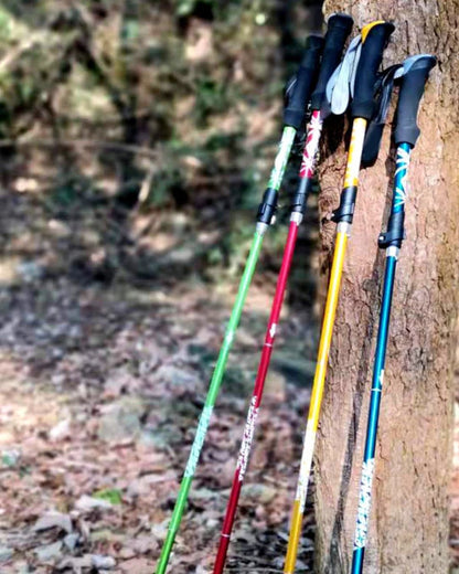 Bâton de Randonnée Pliable 5 Sections – Léger et Compact